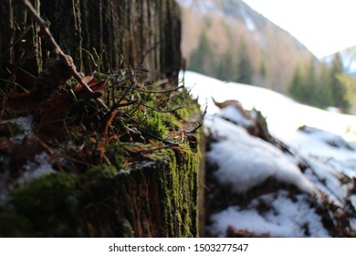 Winter In Leukerbad/ Spring Is Coming