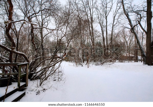 Winter Looking Out My Back Door Stock Photo Edit Now