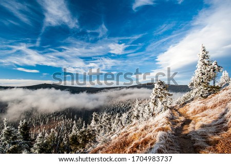 Winter in low mountains in the Czech Republic. Jeseniky Mountains, Moravia, Czechia. Hiking in Czech mountains. Winter landscape on bright sunny day. Bue sky with clouds.