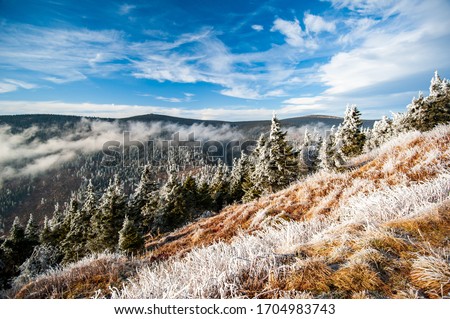 Winter in low mountains in the Czech Republic. Jeseniky Mountains, Moravia, Czechia. Hiking in Czech mountains. Winter landscape on bright sunny day.