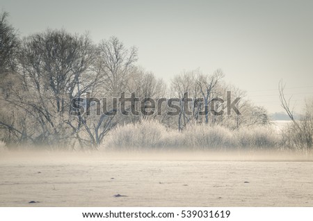 Similar – winter fog Nature