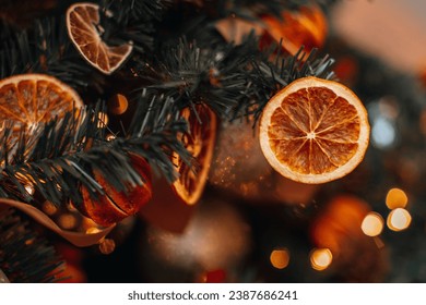 Winter magic decor. Christmas tree branches decorated with bright dried oranges and mandarins. Creative cozy details and golden bokeh garlands lights on background. - Powered by Shutterstock