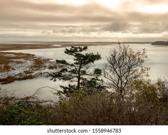 Winter Marsh Landscape Near Coast Guard Beach On Cape Cod