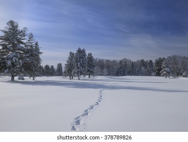 Winter In Massachusetts