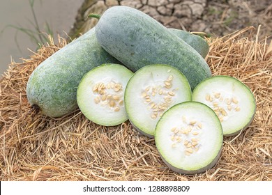 Ash Gourd Images, Stock Photos u0026 Vectors  Shutterstock