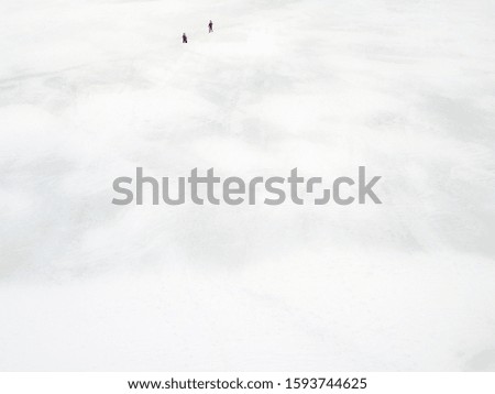 Similar – Image, Stock Photo promenade mix Dog Street