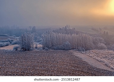 Winter misty and foggy country landscape with a tree silhouette on a fog at sunrise, rural countryside, Vysocina region Czech Republic - Powered by Shutterstock