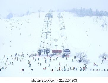 Winter Mood At Joetsu Japan