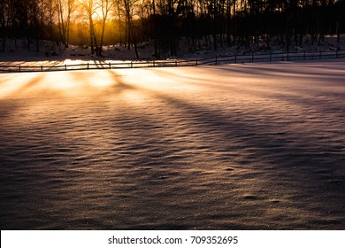 Winter Morning