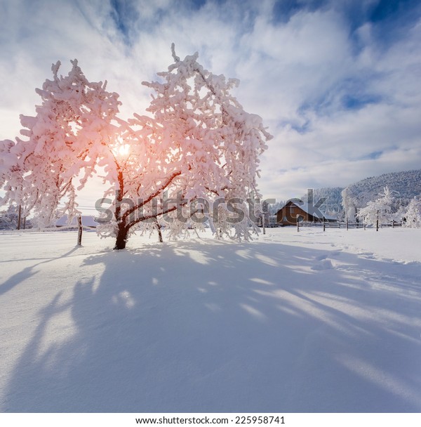 Winter Morning Carpathian Village Sunny Winter Stock Photo (Edit Now ...