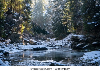 Winter Morning coniferous forest in Snow on a sunny day. Mountain stream in Carpathians. Ukraine - Powered by Shutterstock