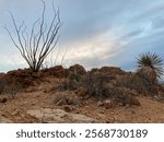 winter morning with a dark sky in the Franklin Mountains