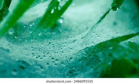 winter morning dew that sticks to spider webs. morning dew stuck to spider webs on the green grass. blurred morning dew background. - Powered by Shutterstock