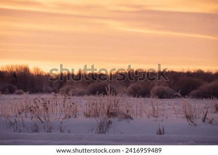 Winter morning landscape of the nature of Estonia at sunrise, snowy filed, frozen forest trees and orange sky. High quality photo