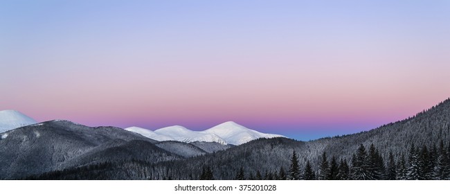 Winter Morning Panoramic View Of Snowy Mountain Peaks. Dawn. Soft Light. Clear Purple Sky. Dark Forest Line