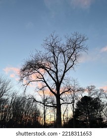 Winter Morning - Paw Paw, Michigan