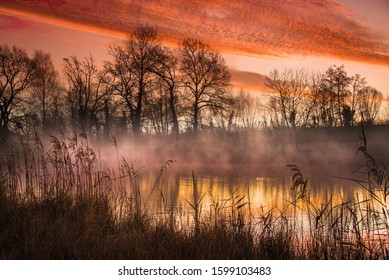 Winter Morning  In The Ried Area In Alsace In France