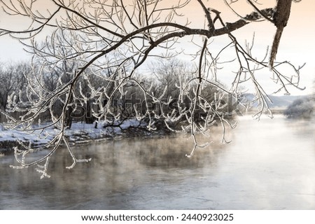 Winter and morning view of hoar frost on the tree branch against fog on the lake with ice and water at Hokkaido, Japan
