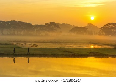 A Winter Morning Walk. This picture was captured on 2013. This was from My village. Mawa Padma River side, Munshiganj, Bangladesh.