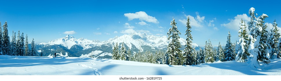 Winter Mountain Fir Forest Snowy Panorama And Woman Tourist (top Of Papageno Bahn - Filzmoos, Austria)