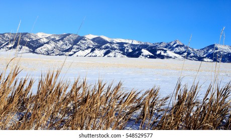 Winter Mountain Landscape In Bozeman, Montana With Bridger Mountains In Background.