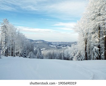 Winter mountain landscape. A clearing, trees covered with snow, further snow-capped mountains covered with forest. Sunlight, blue sky with white clouds.