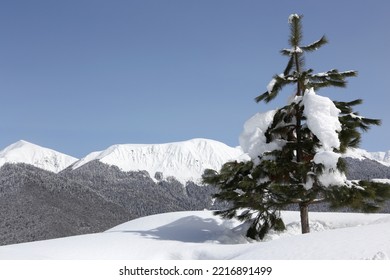 Winter Mountain Landscape, Resort 