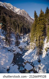 Winter Mountain River In The Forest.