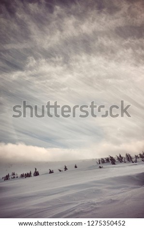 winter hiking country