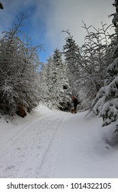Winter Mountain Trip