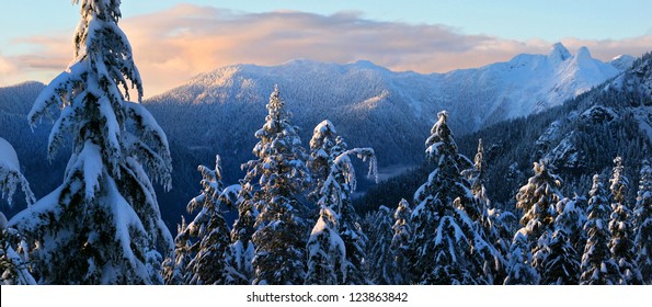 winter in the Mountains