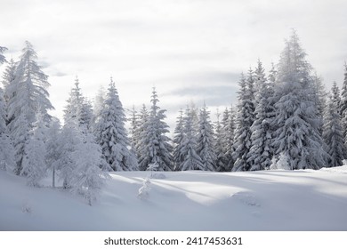 Winter in mountains. An amazing winter scenery with a lot of snow - Powered by Shutterstock