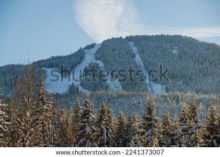 Winter mountains landscape - 
coniferous forest covered with snow, clear sky, 
ski slopes on the mountain