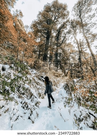 Similar – Image, Stock Photo Girl waiting at the side of the snowy mountain road looking down