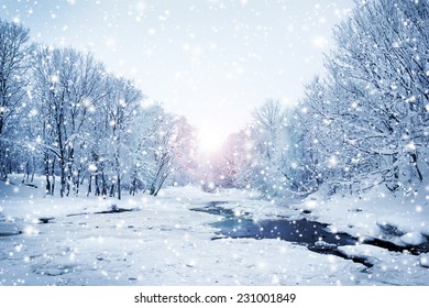 Winter nature landscape. Snowy forest, tree and a sunset. - Powered by Shutterstock