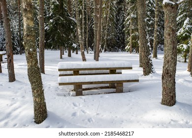 Winter Nature. SNowy Forest. Wooden Table And Benches Covered By Snow. No People.