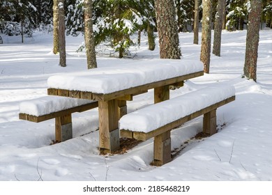 Winter Nature. SNowy Forest. Wooden Table And Benches Covered By Snow. No People.