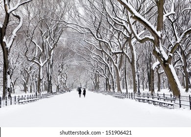 Winter In New York