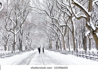 Winter In New York