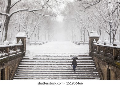 Winter in New York - Powered by Shutterstock