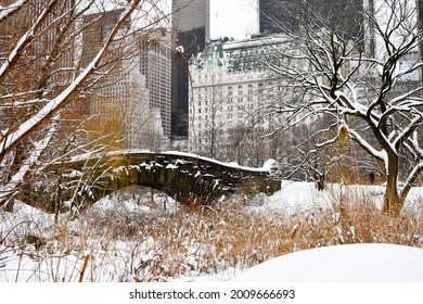 Winter In New York. Plaza Hotel Covered By Snow.