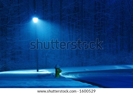 Winter night