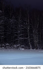 Winter Night Forest By The Lake