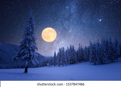 Winter night with full moon and starry sky. Frost covered trees in a mountain forest. Landscape with fresh snow