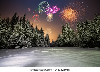 Winter night landscape with forest, pink polar light and fireworks over the taiga. New Year card with forest, fireworks and pink sky. - Powered by Shutterstock