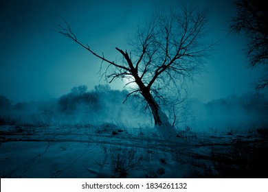 Winter Night Mystical Scenery. Full Moon Light Over Foggy River Through The Branches Of The Tree On Snow Covered River Bank.