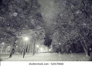 Winter Night In The Park