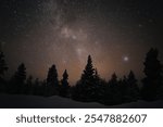 Winter night sky with Milky Way galaxy above silhouetted pine forest. Snow-covered landscape beneath starlit cosmic display captures wilderness magic.