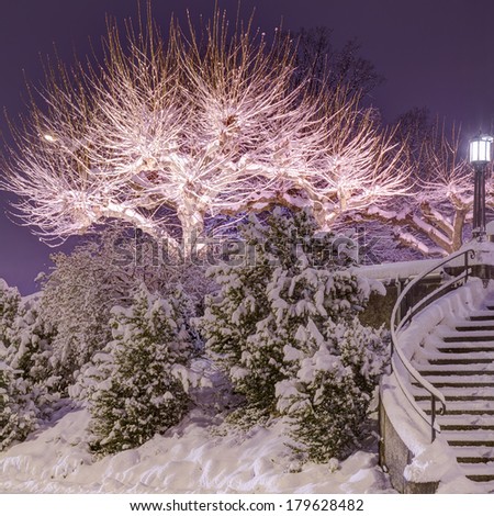Winter night, tonemapped high dynamic range image
