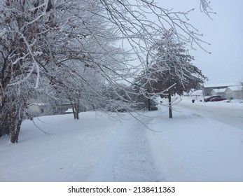 Winter In North Hemisphere. Pullman, Washington State, USA